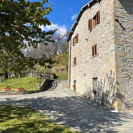 Il Casale Di Rolando Apartment Castiglione di Garfagnana Luaran gambar