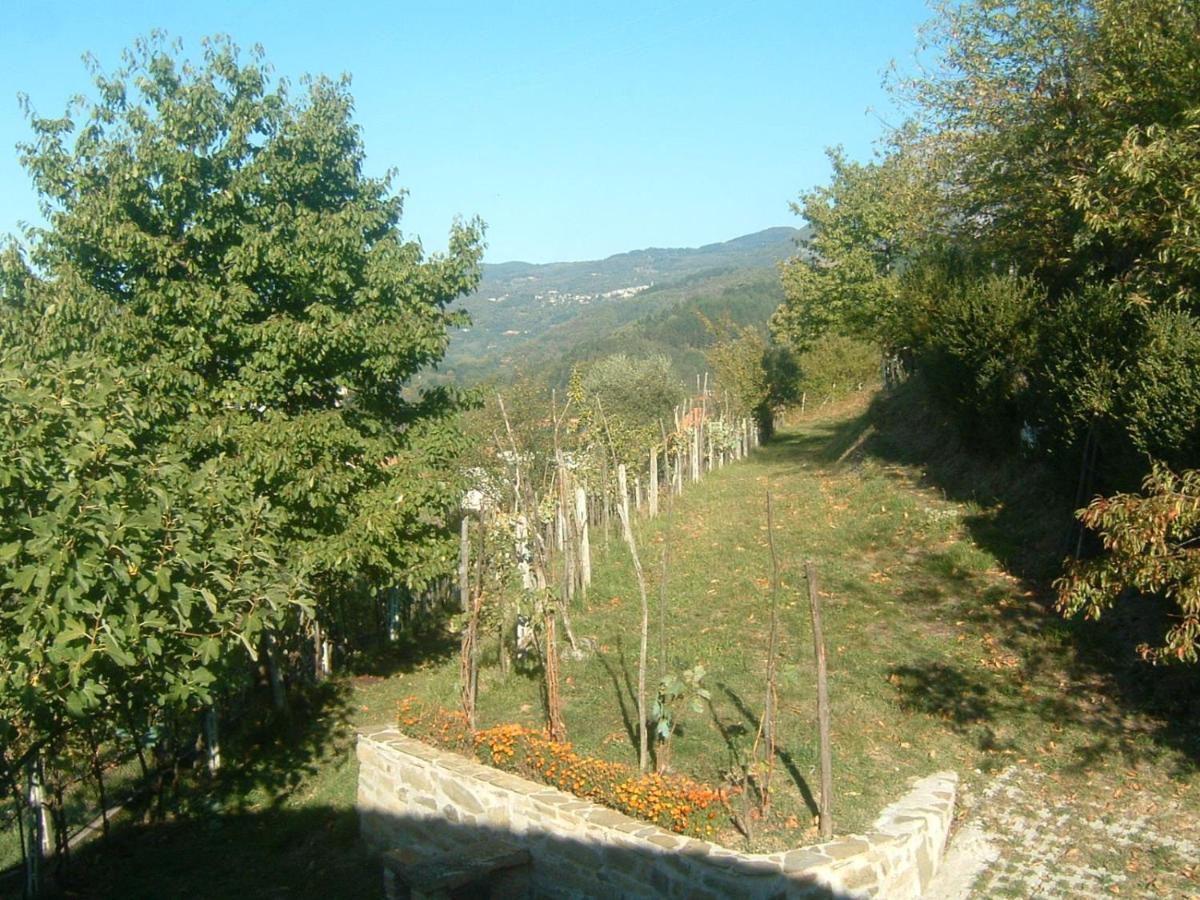 Il Casale Di Rolando Apartment Castiglione di Garfagnana Luaran gambar