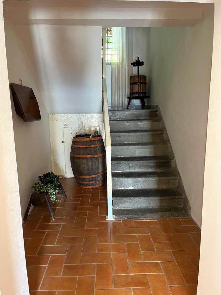 Il Casale Di Rolando Apartment Castiglione di Garfagnana Luaran gambar
